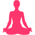 Classes vinyasa yoga